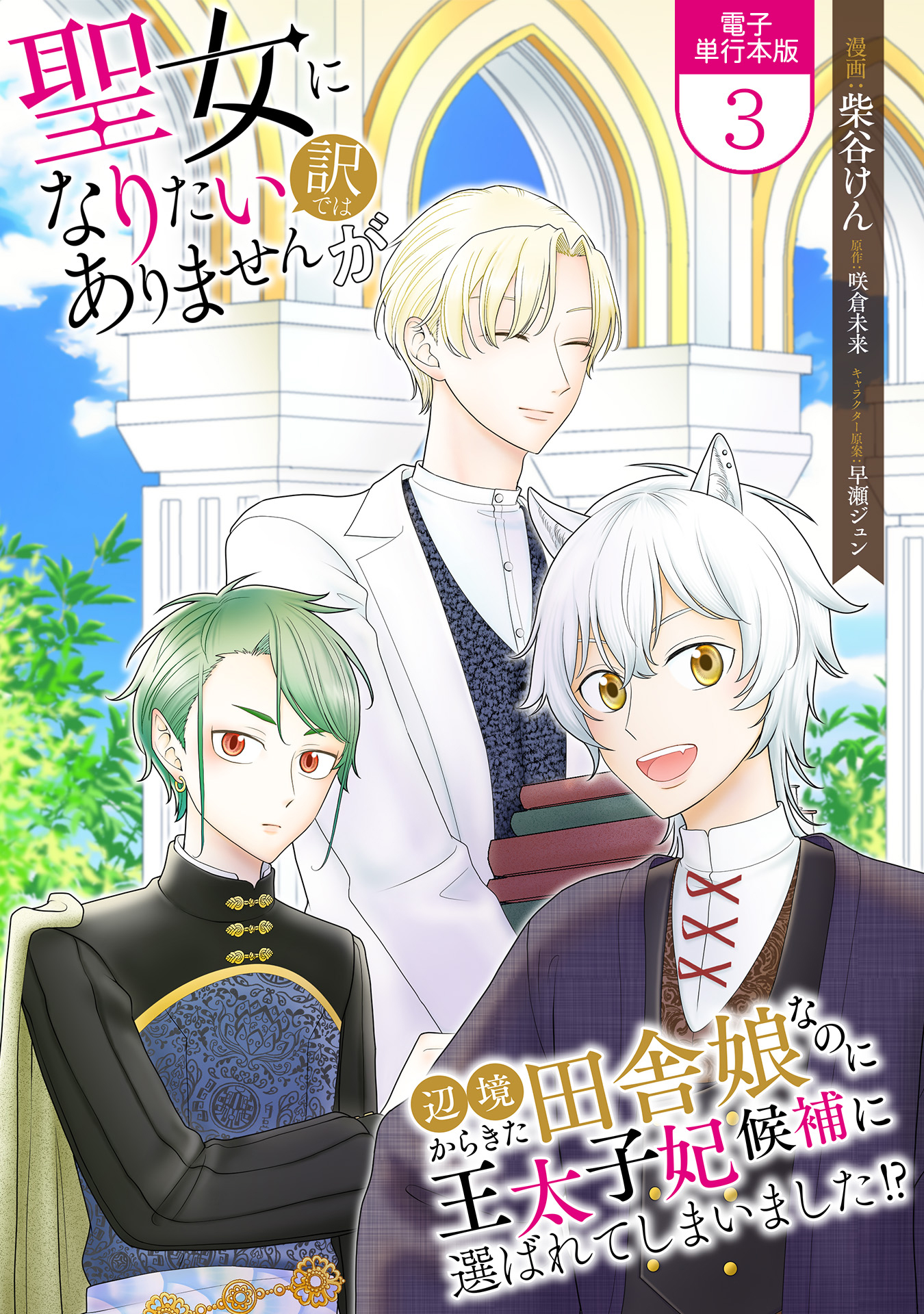 Seijo ni Naritai Wake de wa Arimasen ga