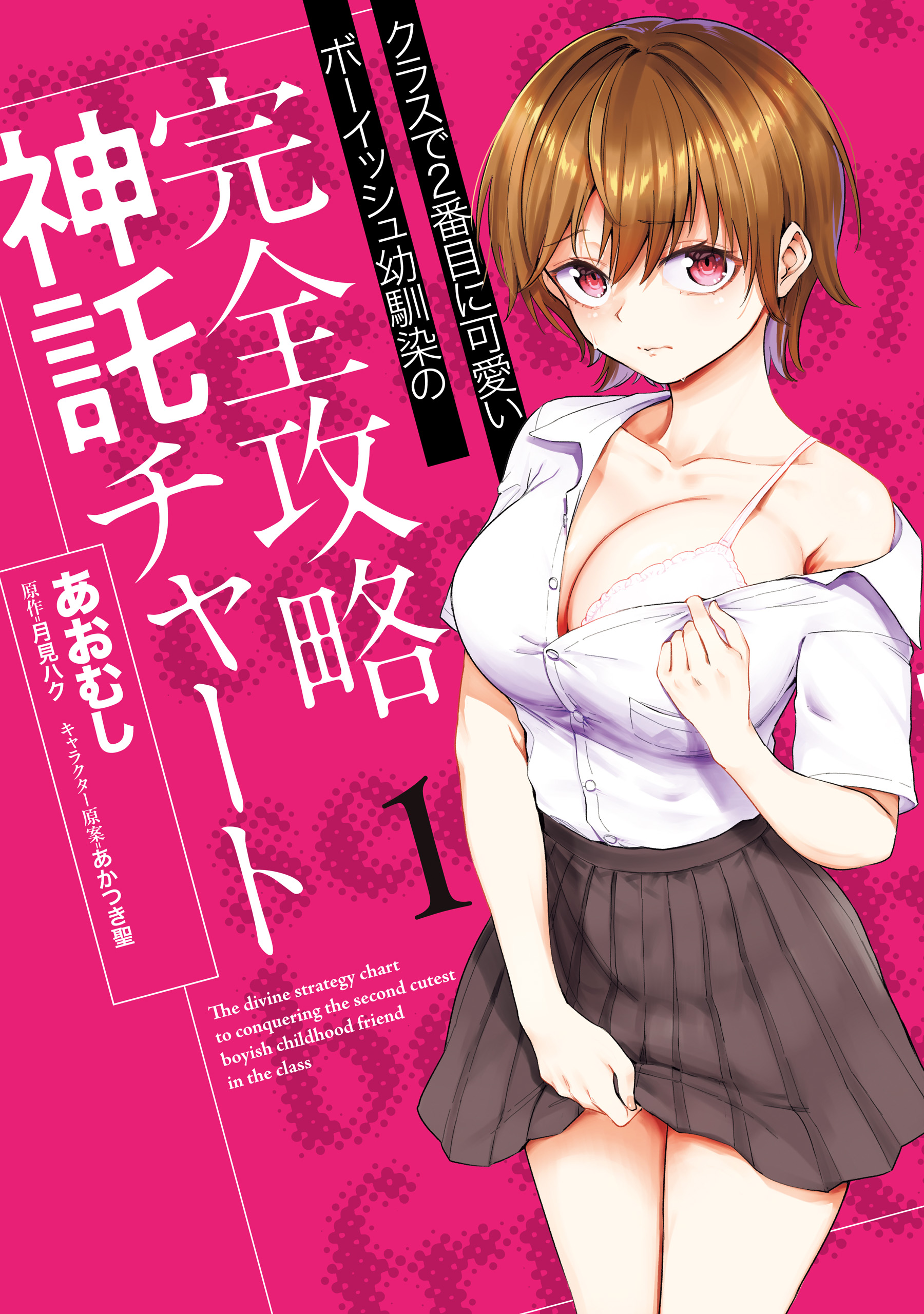 Kurasu de 2-banme ni Kawaii Boyish Osananajimi no Kanzen Kouryaku Shintaku Chato