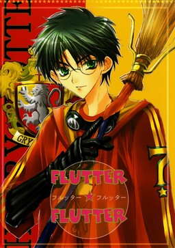 Flutter Flutter