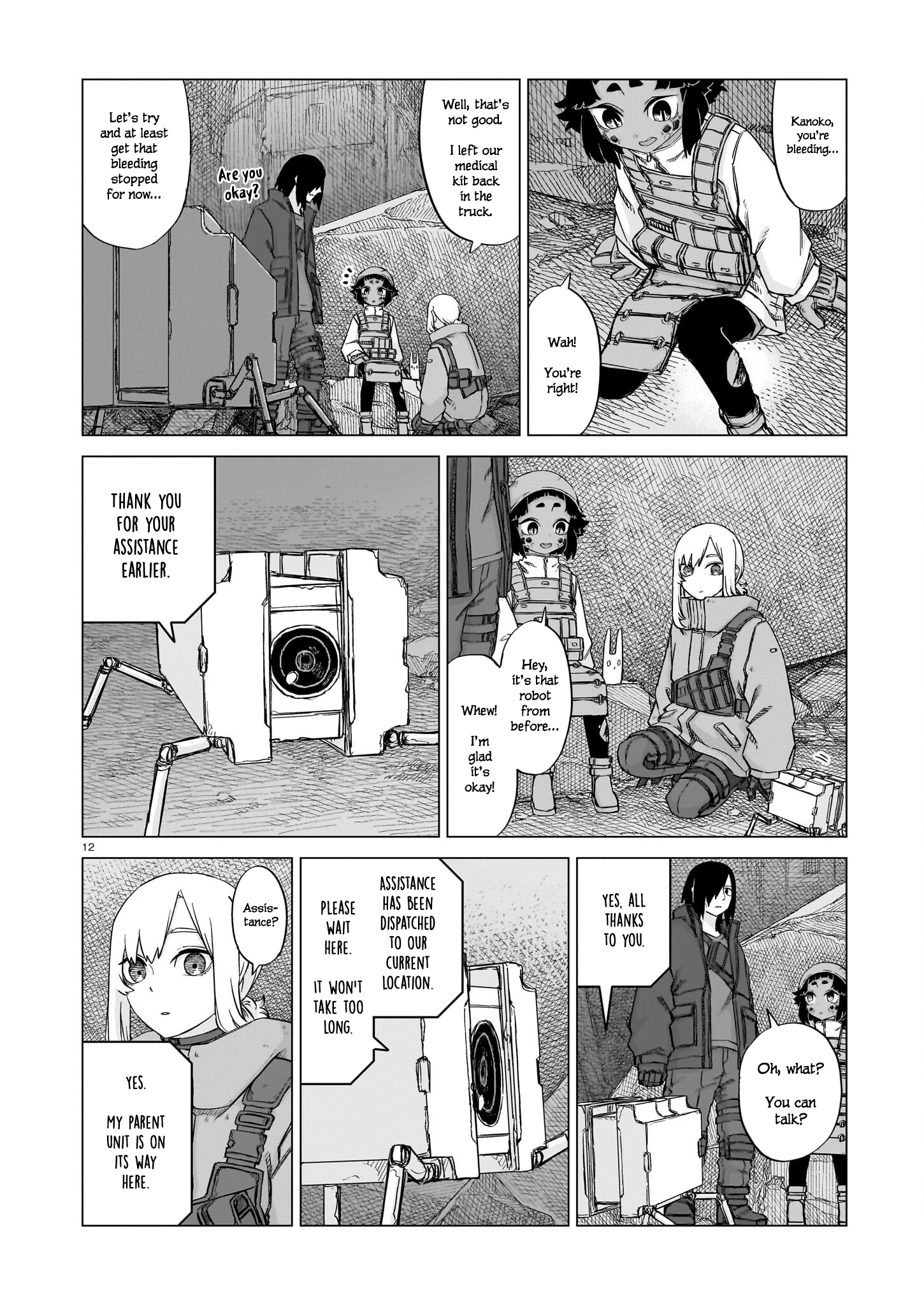 Page 12