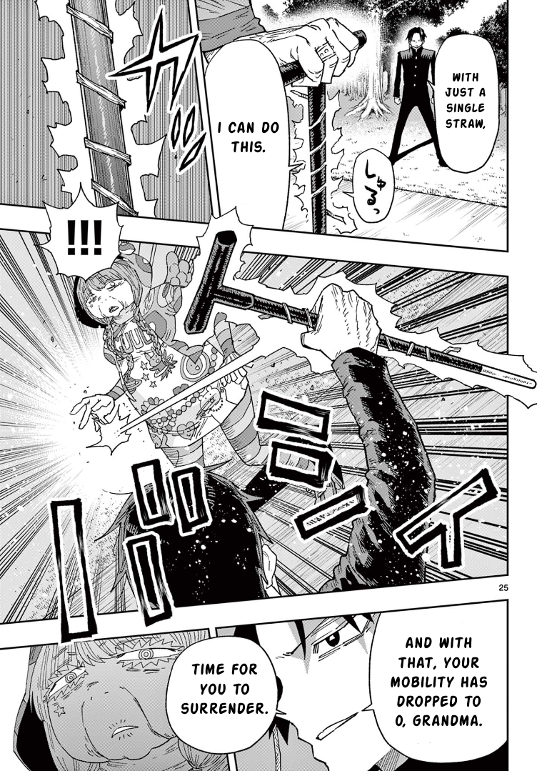 Page 25