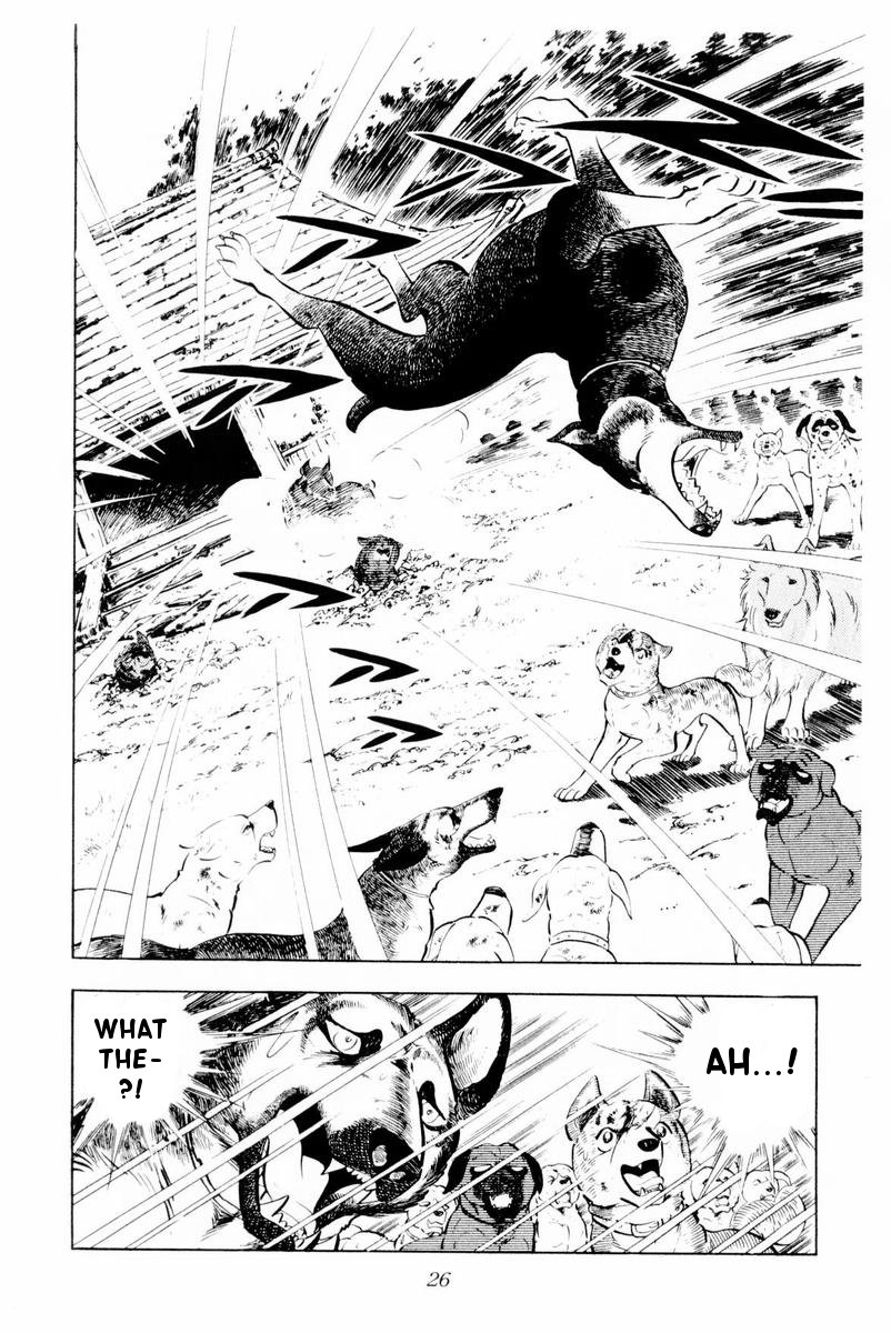 Page 26