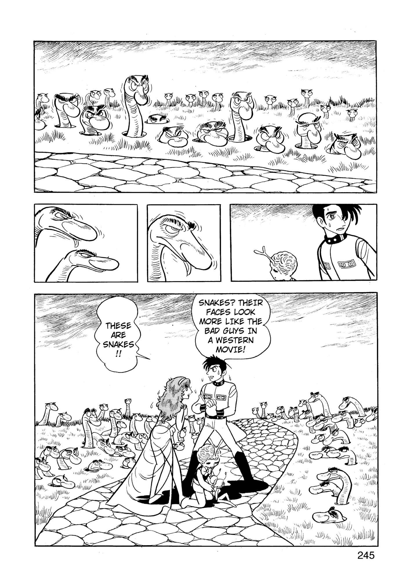 Page 245