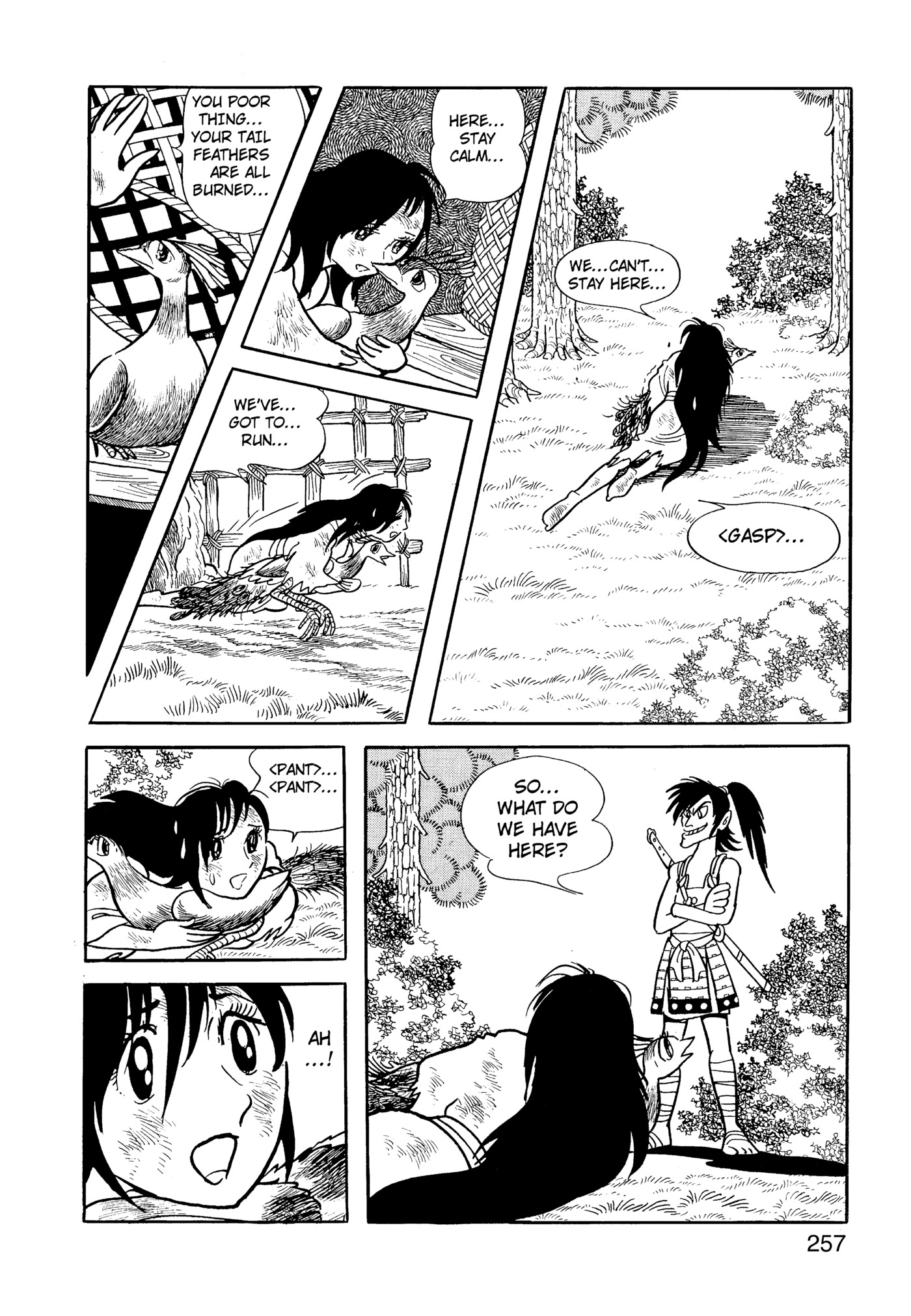 Page 257